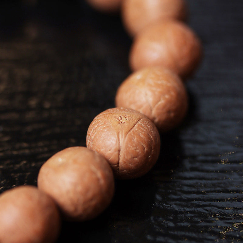LONGAN BODHI BRACELET-4
