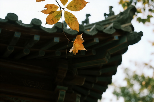 Seasonal Wisdom in Chinese Philosophy: Finding Balance Through Nature’s Rhythms